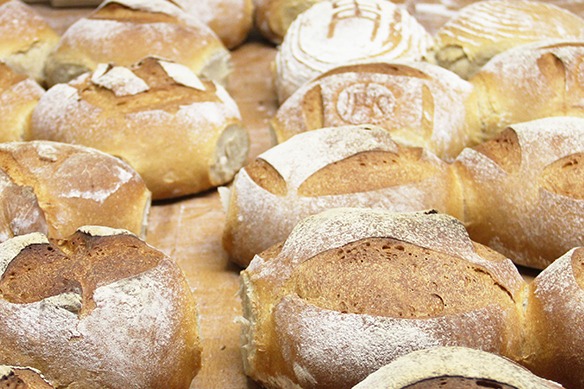 Brot Lieferant Direktvermarkter