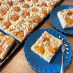 fertig gebackenes Blech mit Aprikosenkuchen. Die Stücke sind angeschnitten und zwei liegen auf jeweils zwei Tellern.