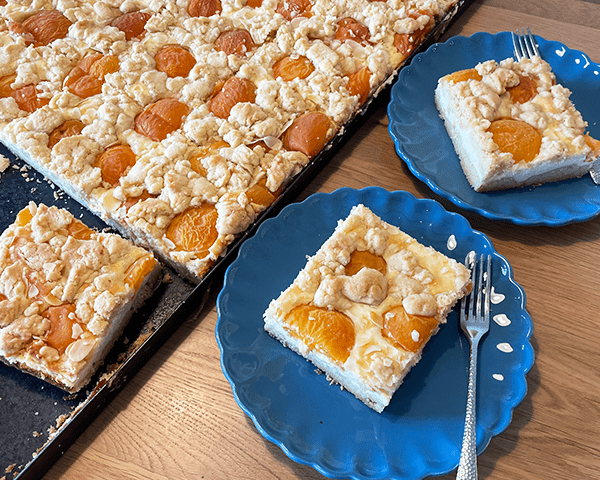 fertig gebackenes Blech mit Aprikosenkuchen. Die Stücke sind angeschnitten und zwei liegen auf jeweils zwei Tellern.