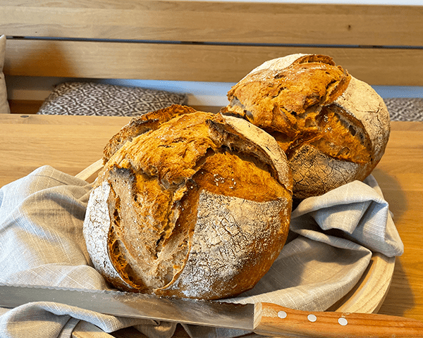 zwei fertig gebackene Dinkel-Landbrote geformt als Laibe