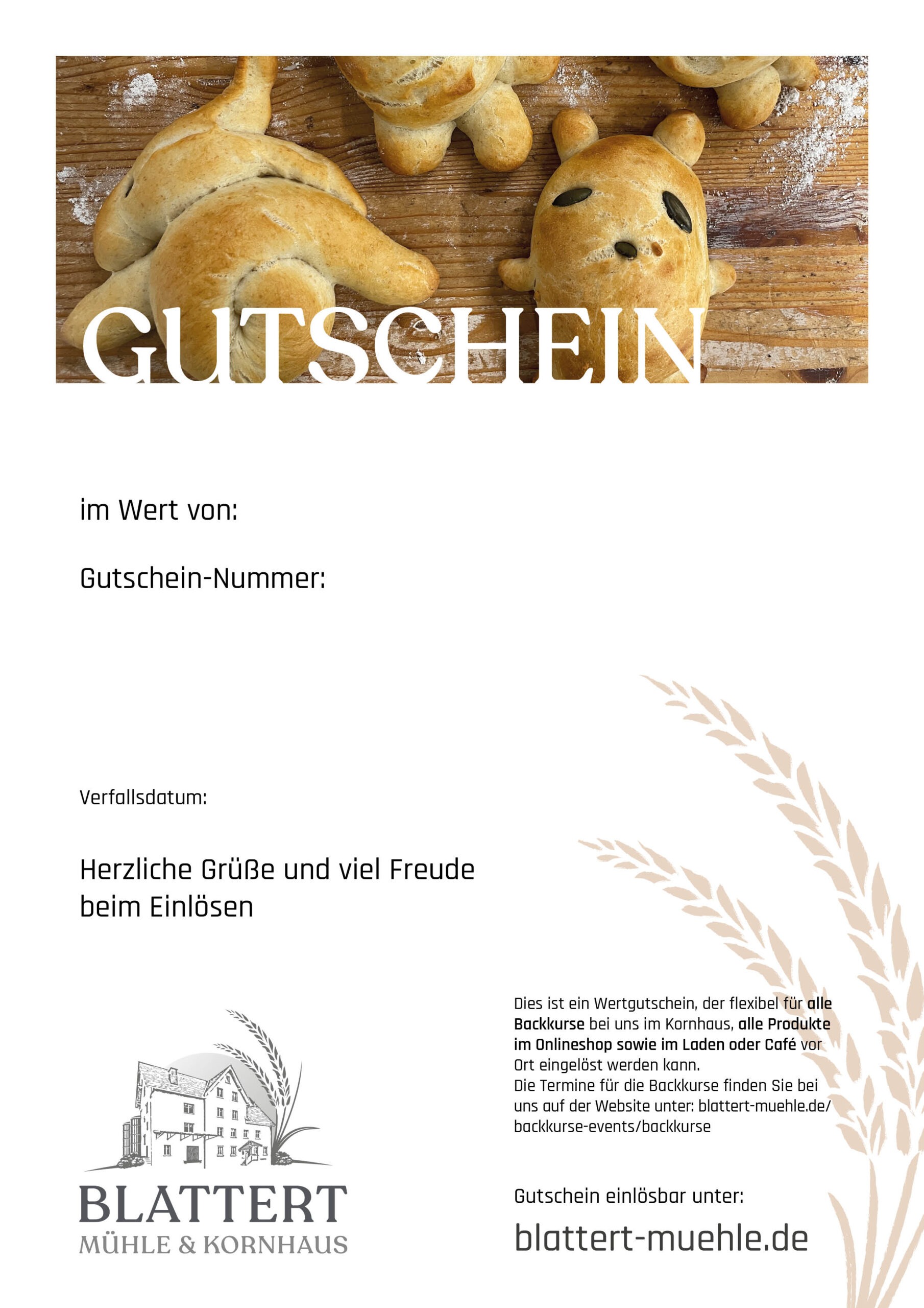 ONLINESHOP-BACKKURSGUTSCHEIN-KINDER_2025